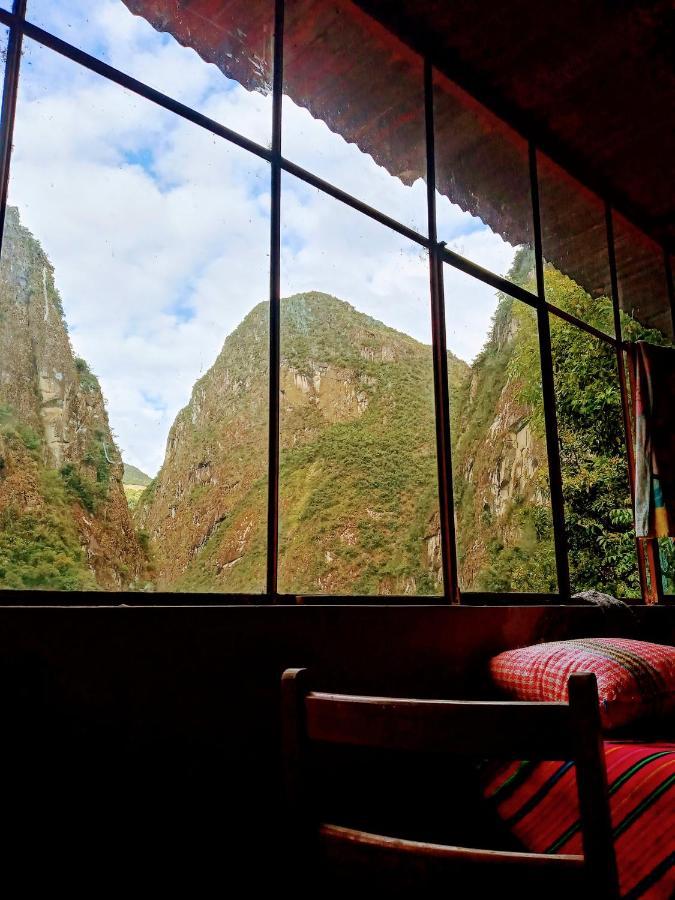 Eco Art View *