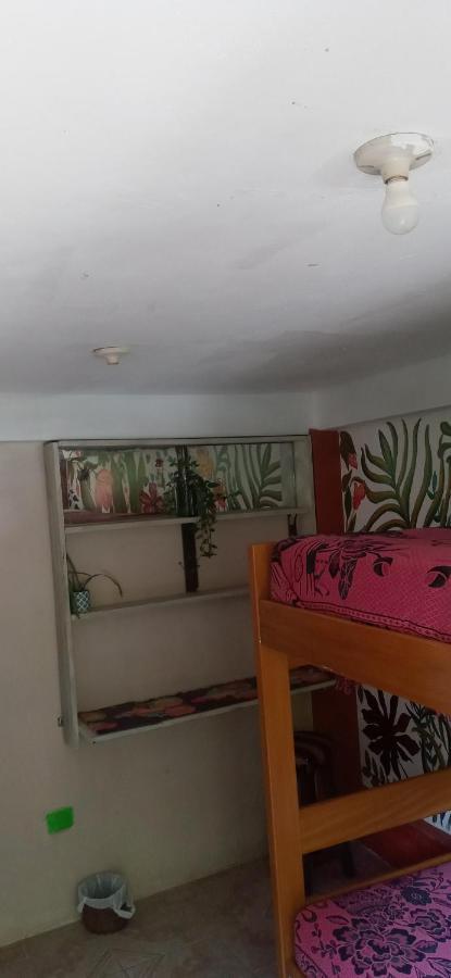 Eco Art View