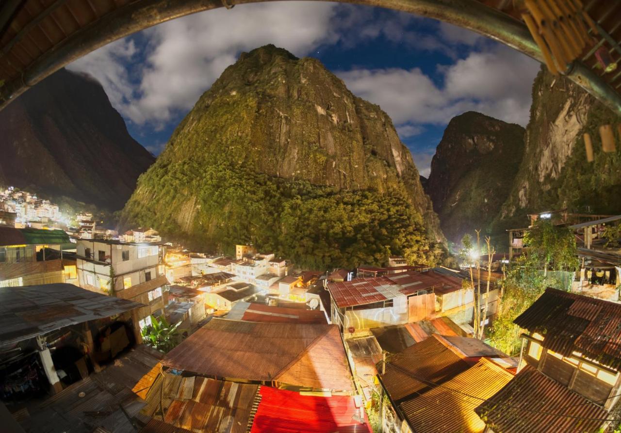 Eco Art View *
