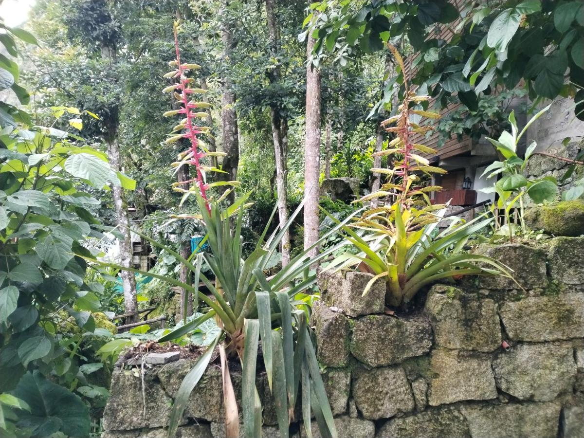 Eco Art View Hotel